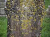 image of grave number 807808